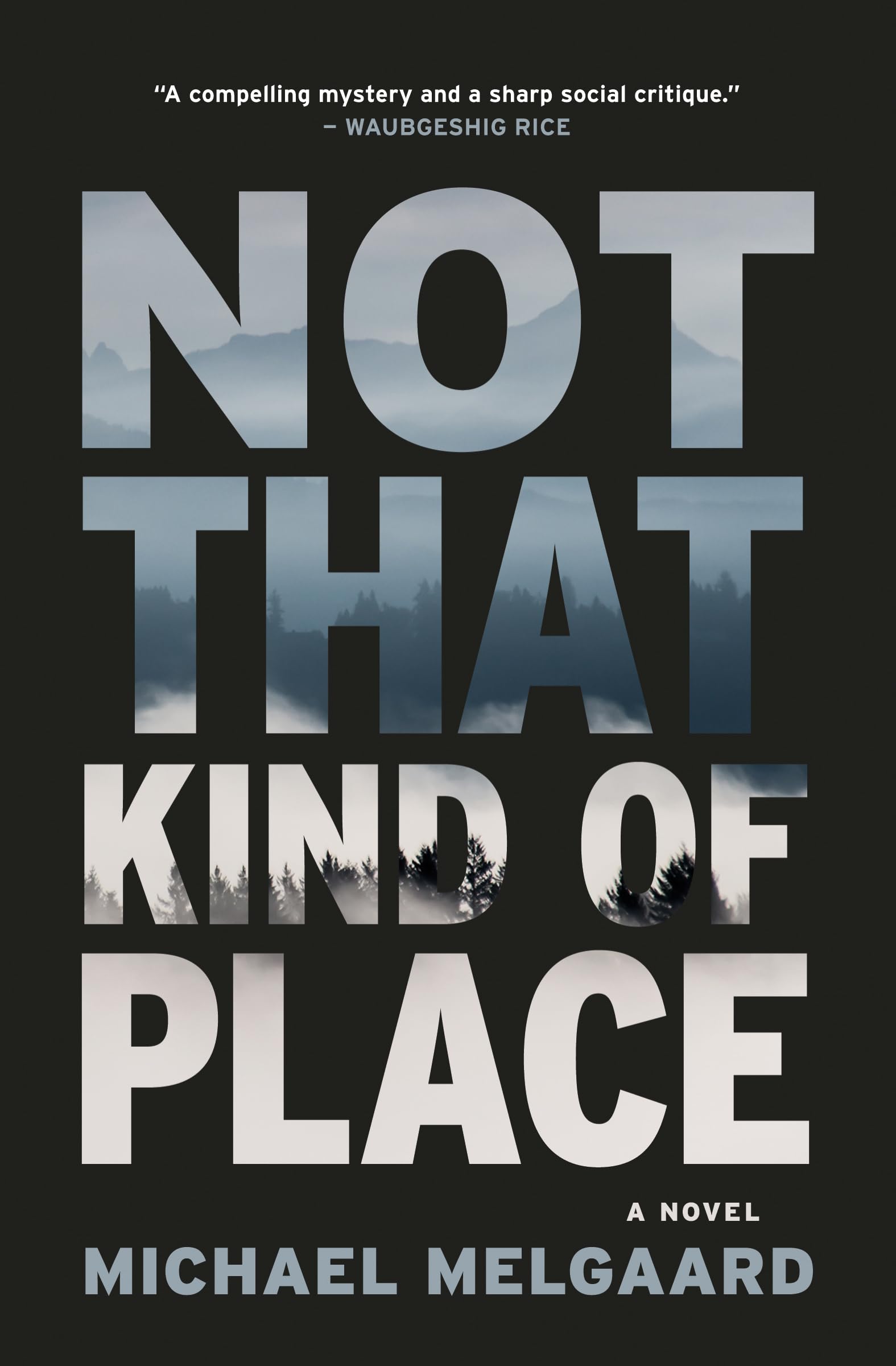 Photograph of the cover of the novel Not That Kind of Place.